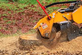 Best Tree Cabling and Bracing  in Greenacres, CA
